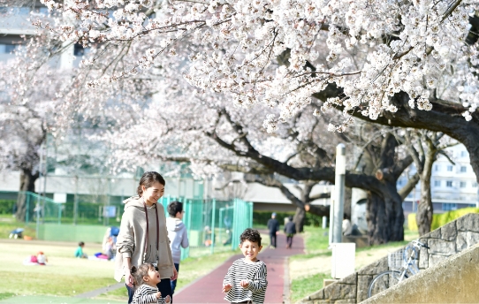 写真：桜の下に親子