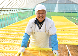 写真：干しいも農家