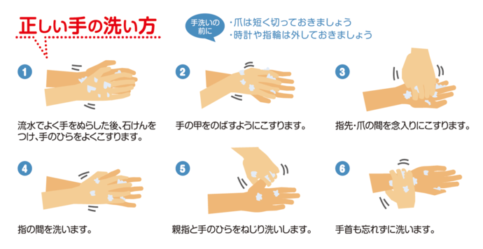 イラスト：正しい手の洗い方 1流水でで手をよく濡石鹸をつけ手をこする 2手の甲を伸ばすようにしてこする 3指先爪先を念入りにこする 4指の間を洗う 5親指と手のひらをねじり洗い 6手首も洗う