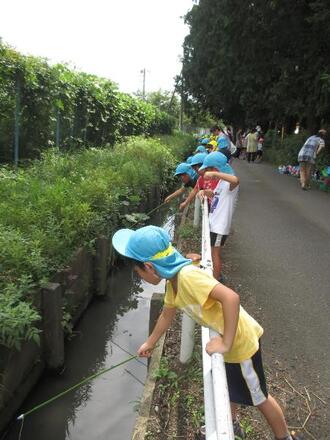 写真:ざりがにを釣っている最中の園児達