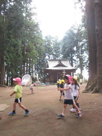 写真:神社で遊ぶ園児達