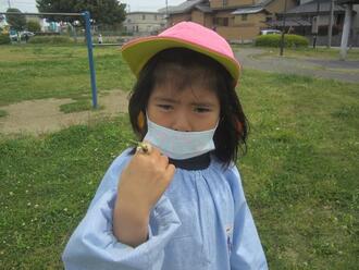 写真:公園へお散歩4