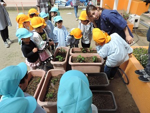 写真：年中児がみんなで植えた野菜の苗に水やりをし、野菜の苗の声を聴いている様子