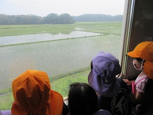 写真：電車の窓の景色を眺める園児
