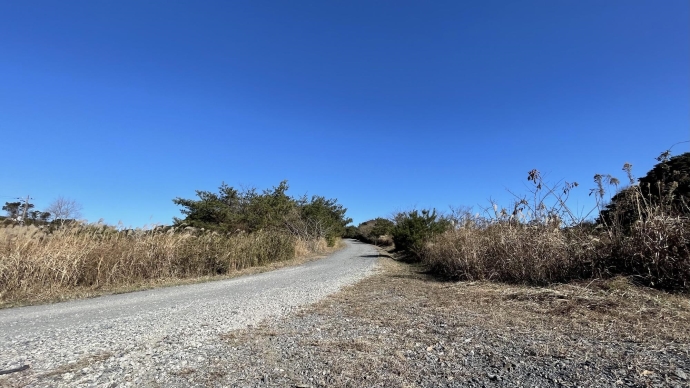 地区内仮設道路