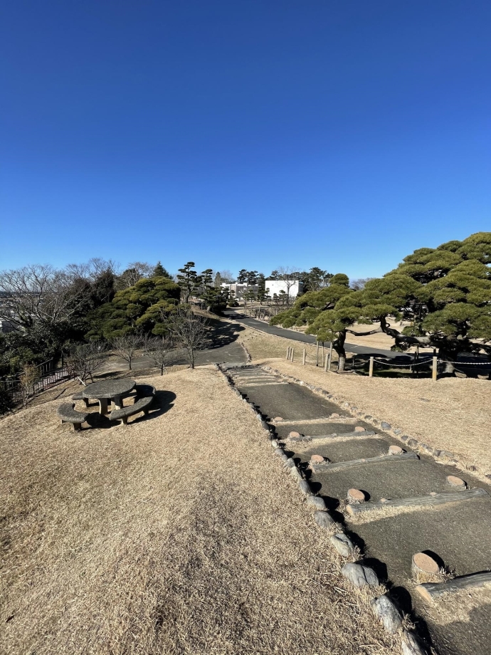 写真：湊公園