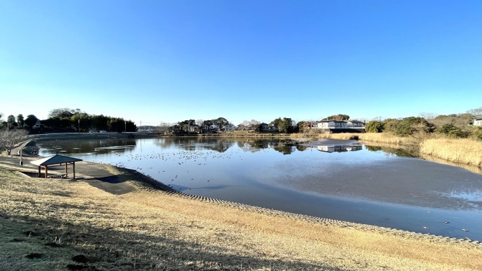 写真：名平洞公園全景