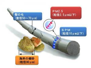 イラスト:PM2.5の大きさ