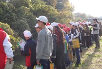 写真:川から排水口を見ている様子
