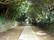 写真：酒列磯前神社