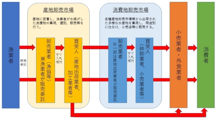 卸売市場での取引の流れのフロー図