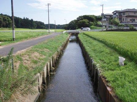 本郷川の写真