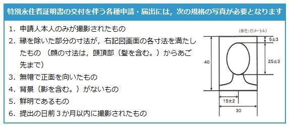 イラスト：特別永住者証明書写真規格