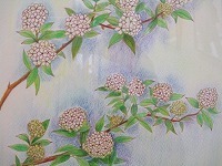 花を描く水彩色鉛筆画教室展の写真