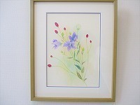 写真：花を描く水彩色鉛筆教室展
