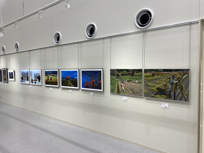 写真：第24回ひたちなか市写真連盟展5