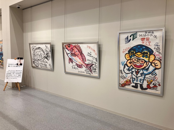 さかなクンのイラスト作品が並ぶ様子