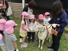 ヤギにさわったよ