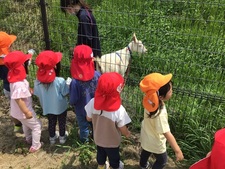 ヤギさんがいたよ