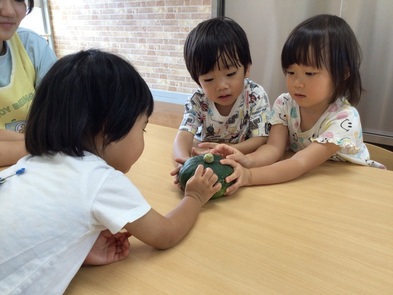 かぼちゃの研究です。触ったり,匂いをかんでいます。