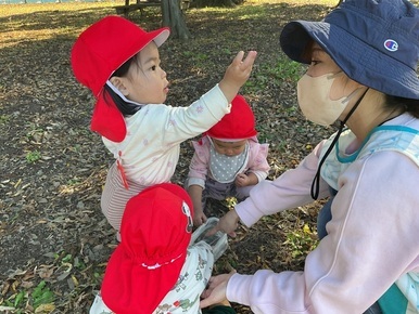 どんぐりたくさん。