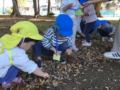 まだまだどんぐりがたくさん。