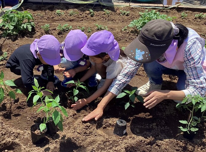 野菜の苗を畑に植える子どもの写真