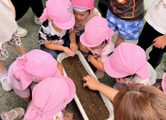 プランターに種を植える子ども達