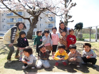 写真：満開の桜と3歳児クラスの子ども達