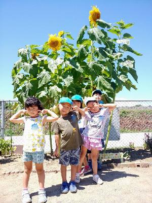 写真：子ども達が育てたひまわりと記念撮影