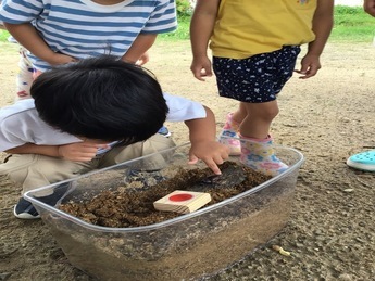 カブトムシを触っている子ども