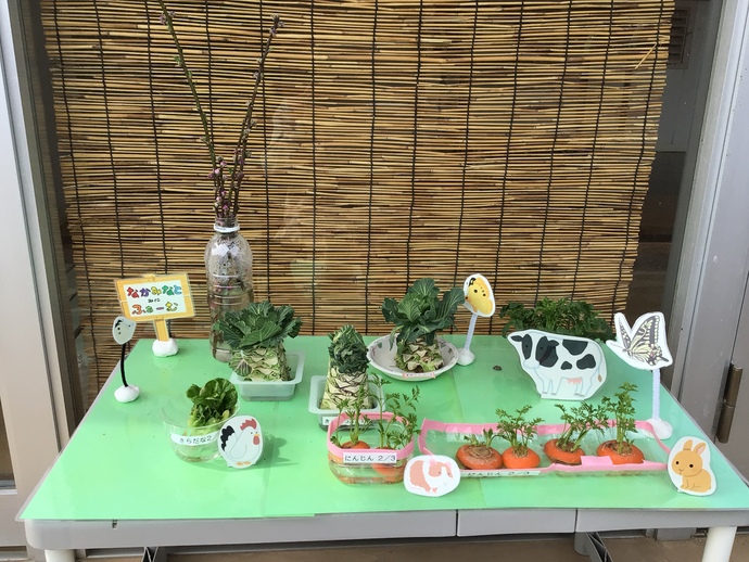 玄関にある再生野菜