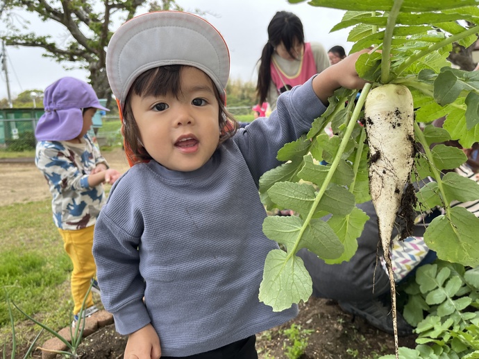 大根を収穫した男の子