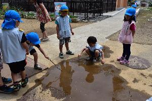 写真：水たまりで遊んでいます。