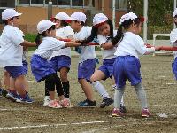 写真：白組の綱引き