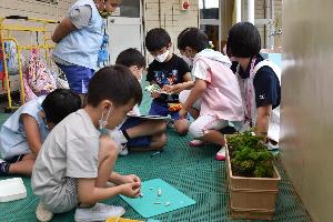 写真：青虫を見ながら制作している