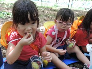 写真：友達と一緒にぶどうを食べる年少女児
