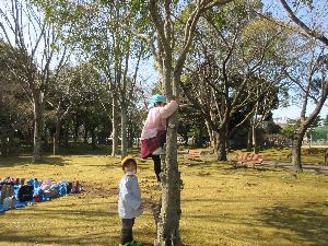 写真：木登りをする年長女児と順番を待つ年少さん