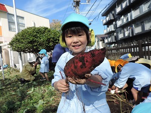 写真：大きなお芋を掘って喜んでいる年少の男の子