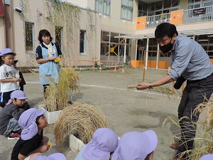 写真：子ども達に刈り取った稲の茎を見せ、様子を伝える園長先生