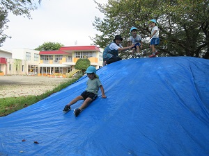 写真：幼稚園の築山から滑り降りることを楽しんでいる年少児