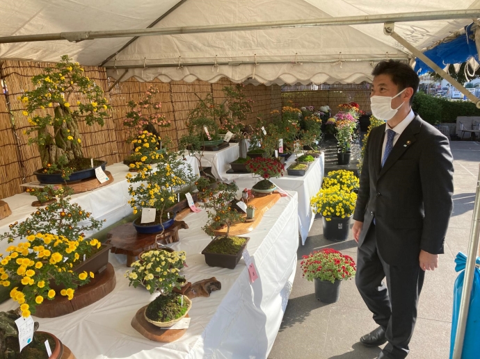 写真：菊花展を視察する大谷市長