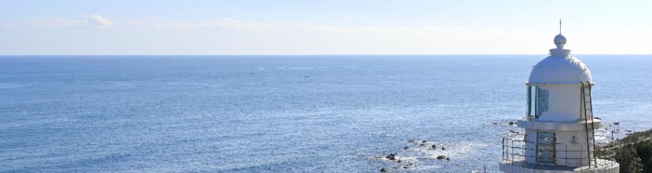 写真：海岸線の景色 磯崎海岸と磯崎灯台