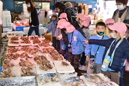魚を見ています。