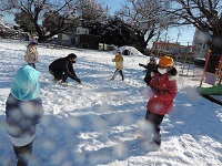 写真:園児と園長先生が雪合戦をしている