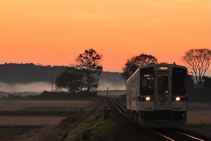 フォトグランプリ賞の写真