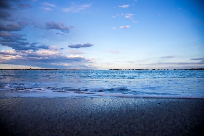 フォト準グランプリ賞の写真