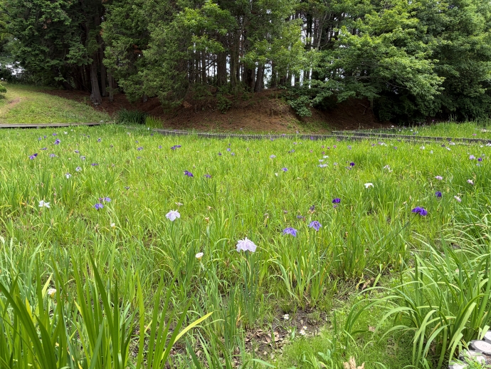 令和8年6月22日の様子