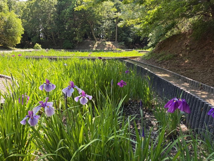 令和8年5月29日の様子