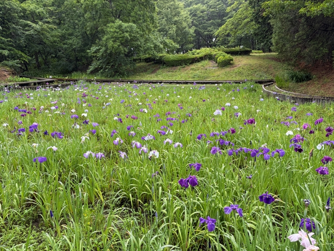 令和8年6月8日の様子